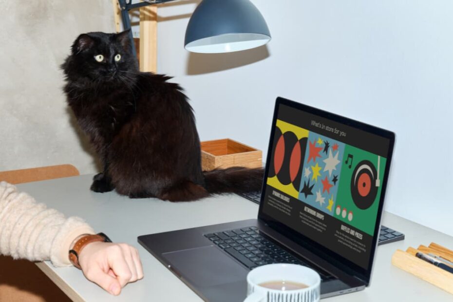 officecat